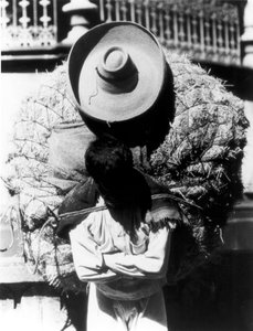 Campesino, État de Veracruz, Mexique, 1927 - Tina Modotti